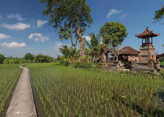 Villa Seseh Canggu